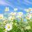 Janet Schultz Uher Facebook Profile Picture