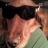 Tammy Albrycht Facebook Profile Picture